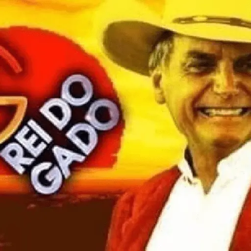 Bolsonaro Preso 2025 (Memes)