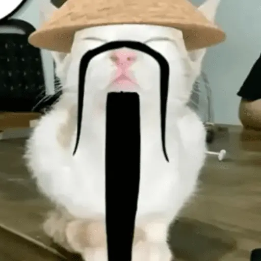 Calajo 🐾🐱🀄️
