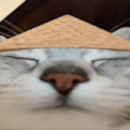 Calajo 🐾🐱🀄️ preview