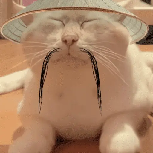 Calajo 🐾🐱🀄️