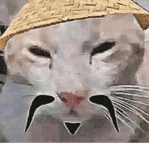 Calajo 🐾🐱🀄️
