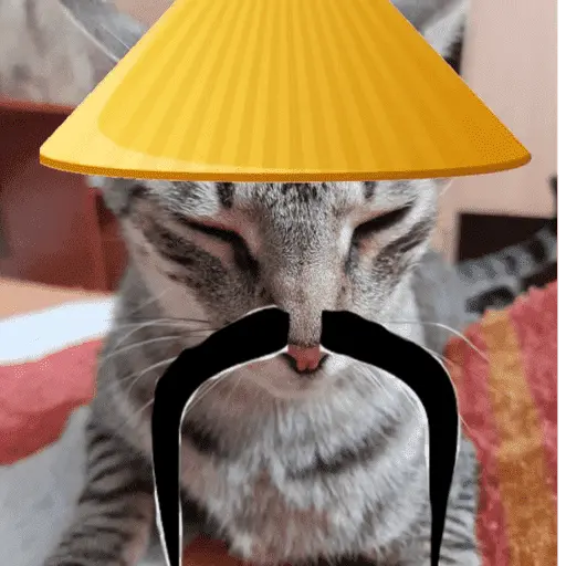 Calajo 🐾🐱🀄️