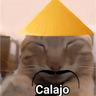 Calajo 🐾🐱🀄️