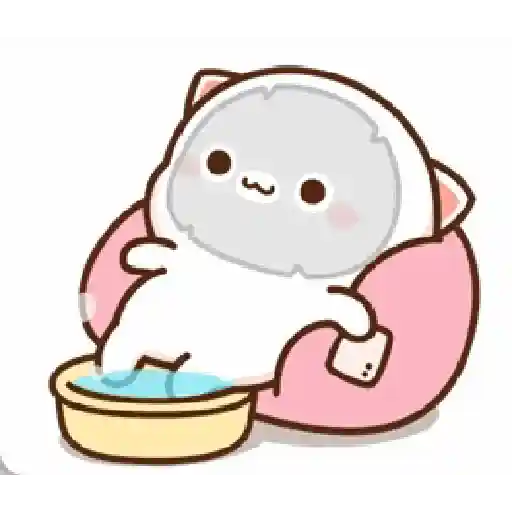 mochi cat 5