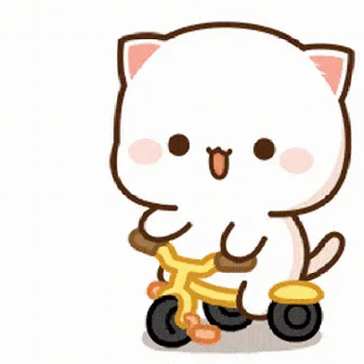 mochi cat 5