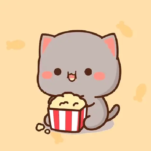 mochi cat 5
