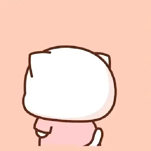 mochi cat 5