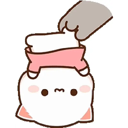 mochi cat 5