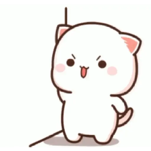mochi cat 5