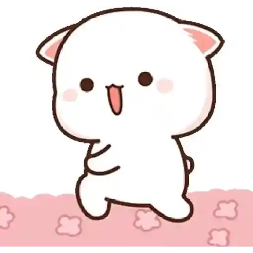 mochi cat 5