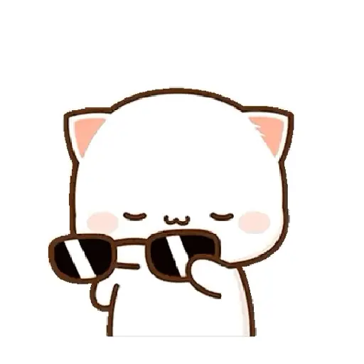 mochi cat 5