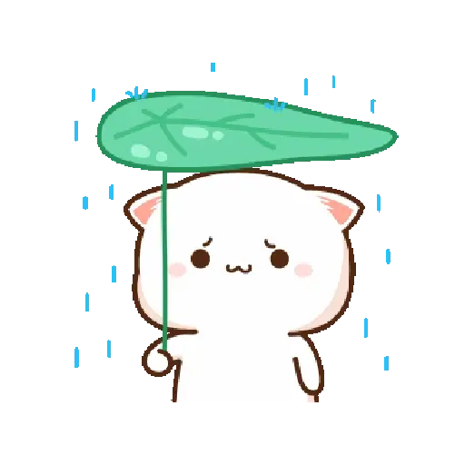 mochi cat 5