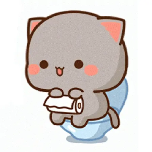 mochi cat 5