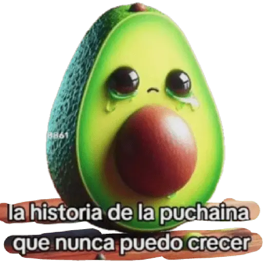LA PUCHAINA🥑