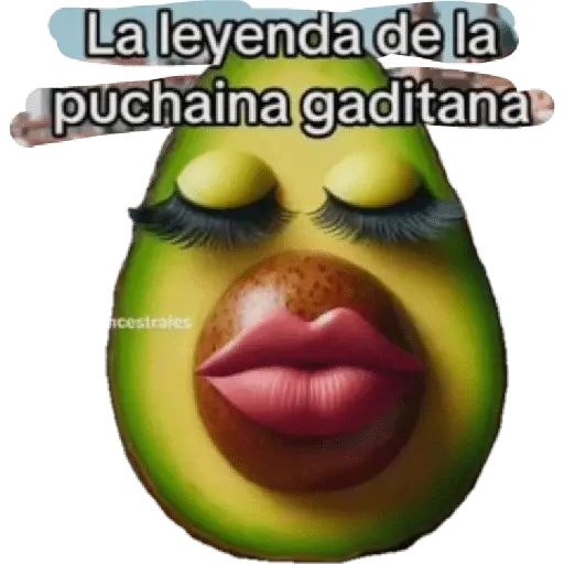 LA PUCHAINA🥑