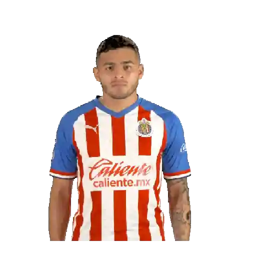 Chivas ⚽✨