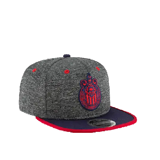 Chivas ⚽✨