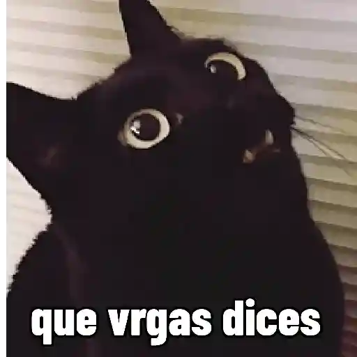 memes Pal grupo