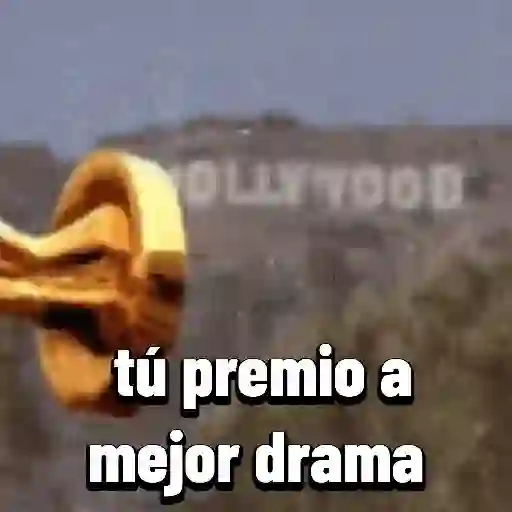 memes Pal grupo preview