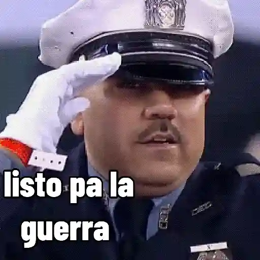 memes Pal grupo