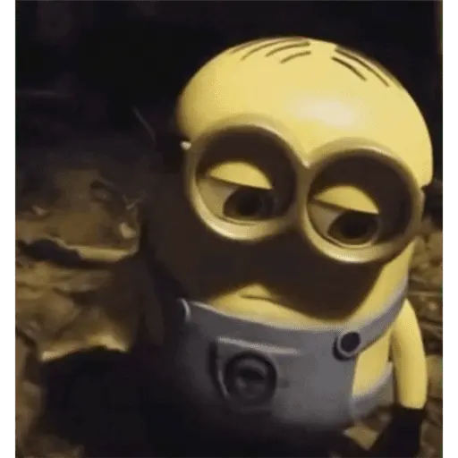 Papoi