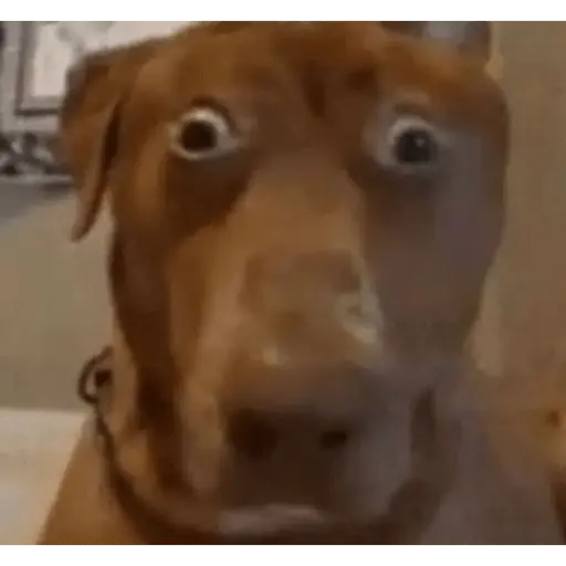 Papoi