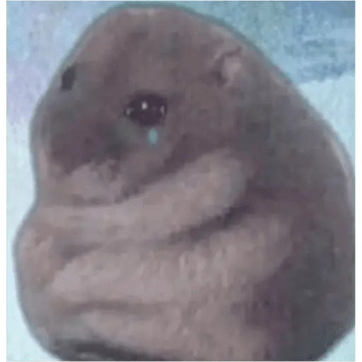 Papoi