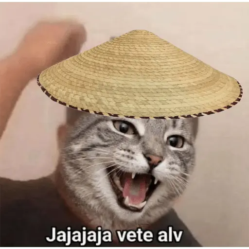 memes en  tendencia
