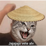 memes en  tendencia