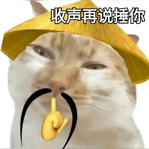 Calajo meme gato ฅ😼ฅ sticker 13