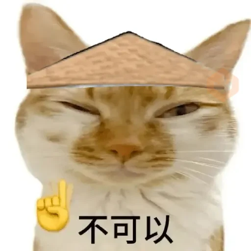 Calajo meme gato ฅ😼ฅ sticker 15