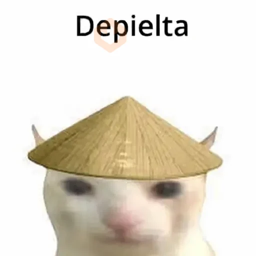 Calajo meme gato ฅ😼ฅ sticker 20