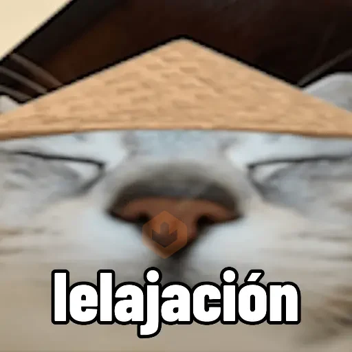 Calajo meme gato ฅ😼ฅ sticker 11