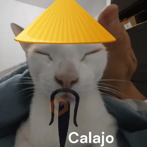 Calajo meme gato ฅ😼ฅ sticker 12
