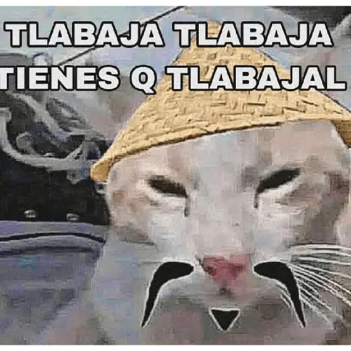 Calajo🎎