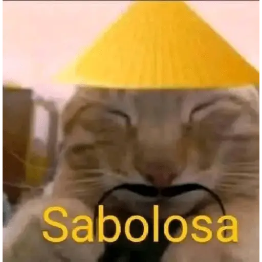 Calajo🎎