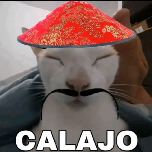 Calajo🎎