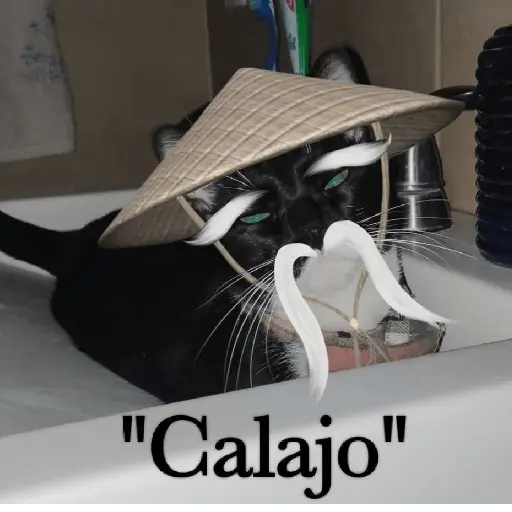 Calajo🎎