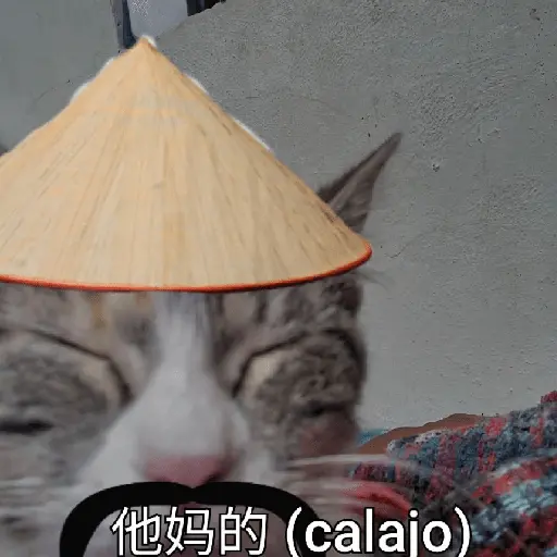 Calajo🎎