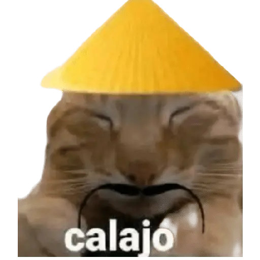 Calajo 🤣💥