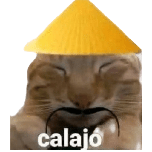 Calajo 🤣💥 preview