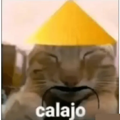 Calajo 🤣💥