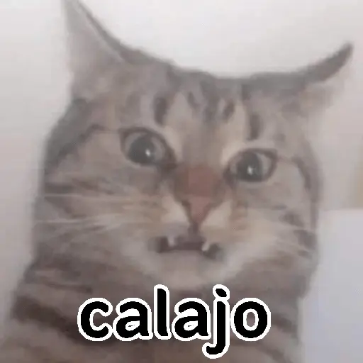 Calajo 🤣💥