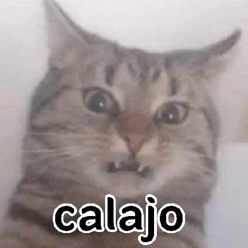 Calajo 🤣💥 preview