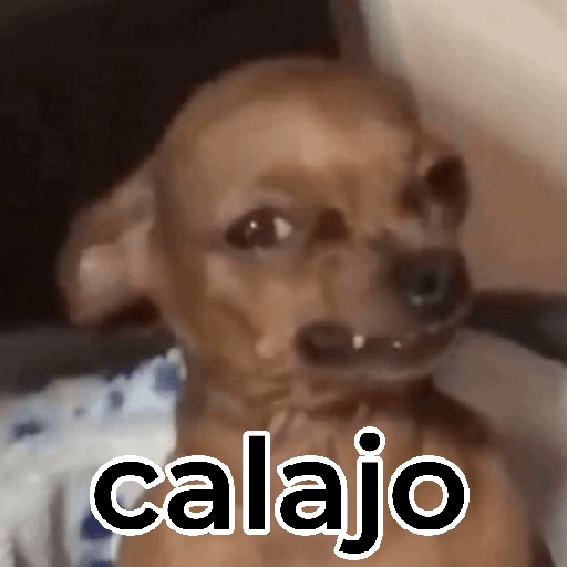 Calajo 🤣💥 preview