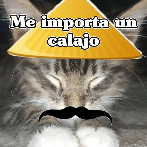 🧿Calajo🐈‍⬛😑