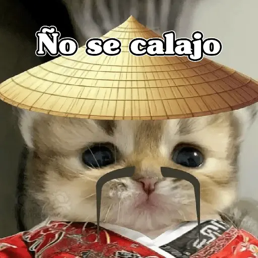 🧿Calajo🐈‍⬛😑