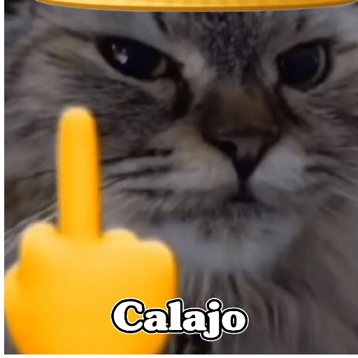 🧿Calajo🐈‍⬛😑 preview