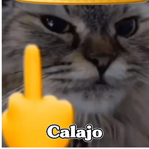 🧿Calajo🐈‍⬛😑