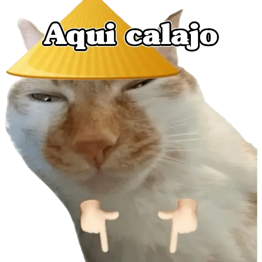 🧿Calajo🐈‍⬛😑